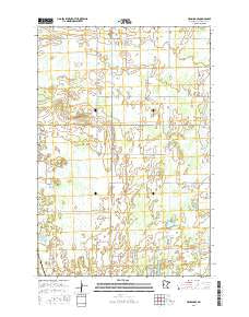 Henning SE Minnesota Current topographic map, 1:24000 scale, 7.5 X 7.5 Minute, Year 2016