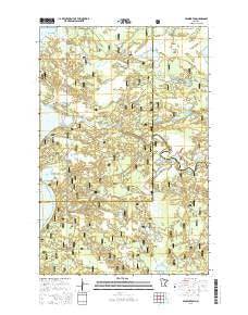 Pennington Minnesota Current topographic map, 1:24000 scale, 7.5 X 7.5 Minute, Year 2016