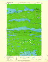 Pine Lake West Minnesota Historical topographic map, 1:24000 scale, 7.5 X 7.5 Minute, Year 1959
