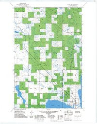 Squaw Lake Minnesota Historical topographic map, 1:24000 scale, 7.5 X 7.5 Minute, Year 1971