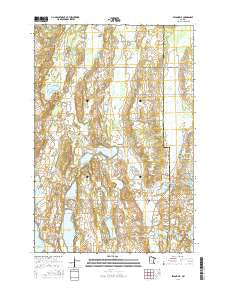 Swanville Minnesota Current topographic map, 1:24000 scale, 7.5 X 7.5 Minute, Year 2016