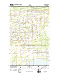 Thief Lake Minnesota Historical topographic map, 1:24000 scale, 7.5 X 7.5 Minute, Year 2013