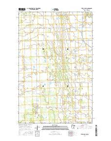 Thief Lake NE Minnesota Current topographic map, 1:24000 scale, 7.5 X 7.5 Minute, Year 2016