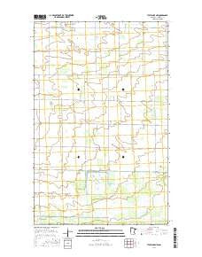 Thief Lake NW Minnesota Current topographic map, 1:24000 scale, 7.5 X 7.5 Minute, Year 2016