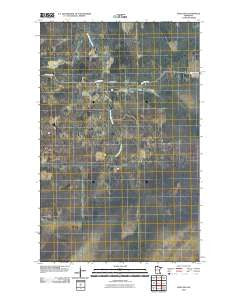 Wayland Minnesota Historical topographic map, 1:24000 scale, 7.5 X 7.5 Minute, Year 2010