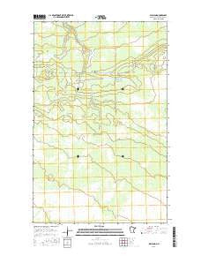 Wayland Minnesota Current topographic map, 1:24000 scale, 7.5 X 7.5 Minute, Year 2016