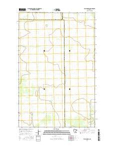 Wayland SW Minnesota Current topographic map, 1:24000 scale, 7.5 X 7.5 Minute, Year 2016
