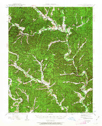 Lesterville Missouri Historical topographic map, 1:62500 scale, 15 X 15 Minute, Year 1943