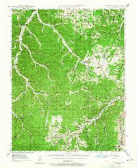 Richwoods Missouri Historical topographic map, 1:62500 scale, 15 X 15 Minute, Year 1946