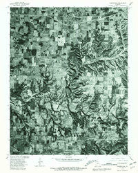 Rogersville Missouri Historical topographic map, 1:24000 scale, 7.5 X 7.5 Minute, Year 1979