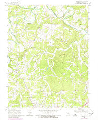 Spring Bluff Missouri Historical topographic map, 1:24000 scale, 7.5 X 7.5 Minute, Year 1966