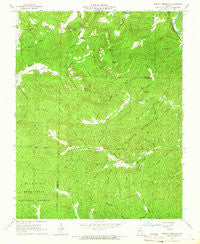 Stegall Mountain Missouri Historical topographic map, 1:24000 scale, 7.5 X 7.5 Minute, Year 1965