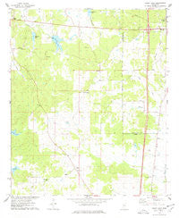 Bailey Lake Mississippi Historical topographic map, 1:24000 scale, 7.5 X 7.5 Minute, Year 1975