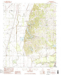 Banks Mississippi Historical topographic map, 1:24000 scale, 7.5 X 7.5 Minute, Year 1982
