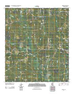 Berwick Mississippi Historical topographic map, 1:24000 scale, 7.5 X 7.5 Minute, Year 2012