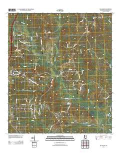 Big Swamp Mississippi Historical topographic map, 1:24000 scale, 7.5 X 7.5 Minute, Year 2012