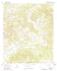 Bowling Green Mississippi Historical topographic map, 1:24000 scale, 7.5 X 7.5 Minute, Year 1964