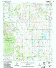 Buena Vista Mississippi Historical topographic map, 1:24000 scale, 7.5 X 7.5 Minute, Year 1987