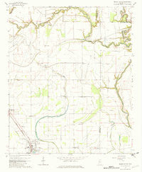 Mound Bayou Mississippi Historical topographic map, 1:24000 scale, 7.5 X 7.5 Minute, Year 1966