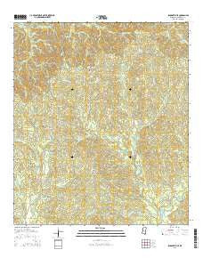 Pinckneyville Mississippi Current topographic map, 1:24000 scale, 7.5 X 7.5 Minute, Year 2015