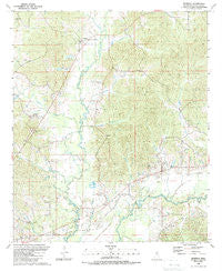 Renfroe Mississippi Historical topographic map, 1:24000 scale, 7.5 X 7.5 Minute, Year 1989