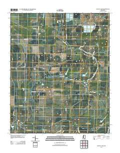 Walnut Lake Mississippi Historical topographic map, 1:24000 scale, 7.5 X 7.5 Minute, Year 2012