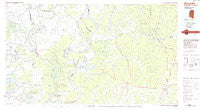 Woodville Mississippi Historical topographic map, 1:100000 scale, 30 X 60 Minute, Year 1984