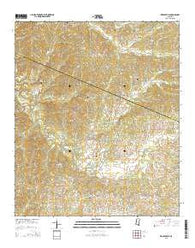 Zeiglerville Mississippi Current topographic map, 1:24000 scale, 7.5 X 7.5 Minute, Year 2015