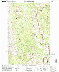 Amphitheatre Mountain Montana Historical topographic map, 1:24000 scale, 7.5 X 7.5 Minute, Year 1994