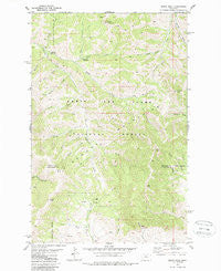 Arrow Peak Montana Historical topographic map, 1:24000 scale, 7.5 X 7.5 Minute, Year 1978