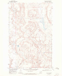 Austin Lake Montana Historical topographic map, 1:24000 scale, 7.5 X 7.5 Minute, Year 1968