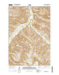 Badbaby Coulee Montana Current topographic map, 1:24000 scale, 7.5 X 7.5 Minute, Year 2014