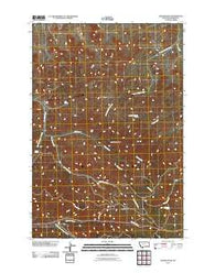 Badger Peak Montana Historical topographic map, 1:24000 scale, 7.5 X 7.5 Minute, Year 2011