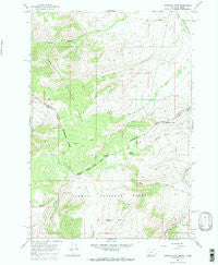 Bannock Pass Montana Historical topographic map, 1:24000 scale, 7.5 X 7.5 Minute, Year 1965