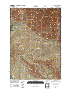 Bear Canyon Montana Historical topographic map, 1:24000 scale, 7.5 X 7.5 Minute, Year 2011