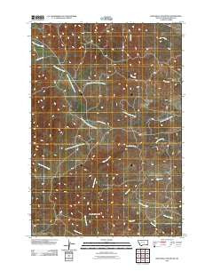 Bear Skull Mountain Montana Historical topographic map, 1:24000 scale, 7.5 X 7.5 Minute, Year 2011