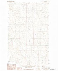 Black Calf Reservoir Montana Historical topographic map, 1:24000 scale, 7.5 X 7.5 Minute, Year 1984