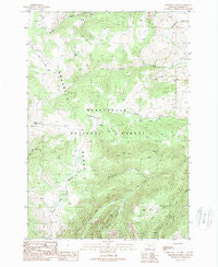 Broomtail Ridge Montana Historical topographic map, 1:24000 scale, 7.5 X 7.5 Minute, Year 1988