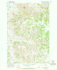 Browns Mountain Montana Historical topographic map, 1:24000 scale, 7.5 X 7.5 Minute, Year 1966