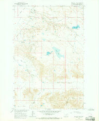 Buckley Lake Montana Historical topographic map, 1:24000 scale, 7.5 X 7.5 Minute, Year 1965