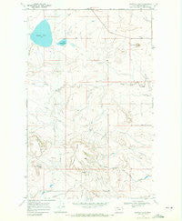 Buffalo Lake Montana Historical topographic map, 1:24000 scale, 7.5 X 7.5 Minute, Year 1968