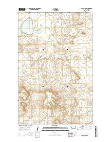 Buffalo Lake Montana Current topographic map, 1:24000 scale, 7.5 X 7.5 Minute, Year 2014