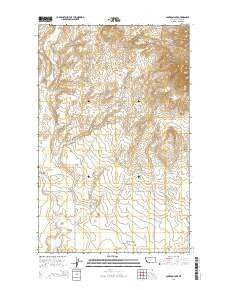 Cameron Lake Montana Current topographic map, 1:24000 scale, 7.5 X 7.5 Minute, Year 2014