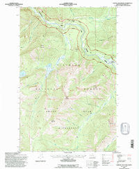 Capitol Mountain Montana Historical topographic map, 1:24000 scale, 7.5 X 7.5 Minute, Year 1994