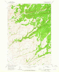 Copper Mountain Montana Historical topographic map, 1:24000 scale, 7.5 X 7.5 Minute, Year 1963