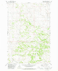 Cotton Creek Montana Historical topographic map, 1:24000 scale, 7.5 X 7.5 Minute, Year 1980