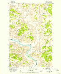 Cow Island Montana Historical topographic map, 1:24000 scale, 7.5 X 7.5 Minute, Year 1954