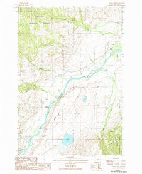 Dailey Lake Montana Historical topographic map, 1:24000 scale, 7.5 X 7.5 Minute, Year 1988