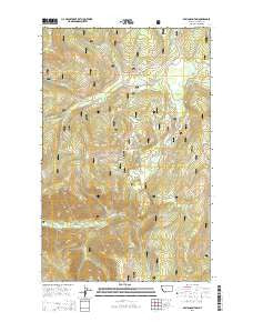 Davis Mountain Montana Current topographic map, 1:24000 scale, 7.5 X 7.5 Minute, Year 2014
