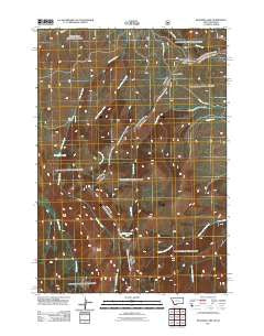 Deadman Lake Montana Historical topographic map, 1:24000 scale, 7.5 X 7.5 Minute, Year 2011